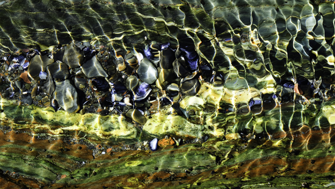 Yvon Jolivet Surrounded Shells